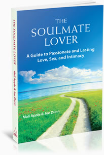 THE SOULMATE LOVER